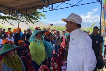 Menteri: Nasi jagung dapat dijadikan pilihan menu makan siang gratis bergizi di tanah air
