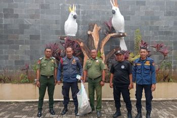 BKSDA Maluku terima penyerahan ular piton dari Dinas Damkar Ambon