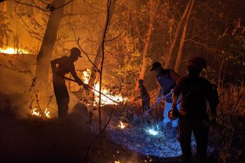 BNPB: Siaga darurat karhutla di Ponorogo aktif hingga November
