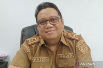 Distanak Sultra salurkan 38 ribu ton pupuk hingga Juli 2024