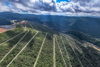 AMMAN peroleh The Copper Mark, wujud komitmen praktik pertambangan bertanggung jawab