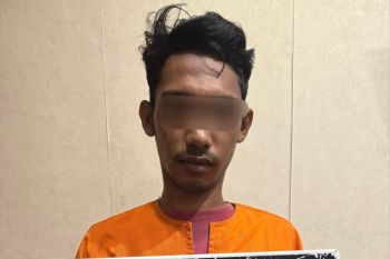 Pembakar lahan di Keritang Inhil diamankan polisi