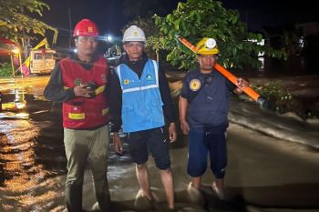 PLN pulihkan pasokan listrik terdampak banjir di Sidenreng Rappang Sulsel