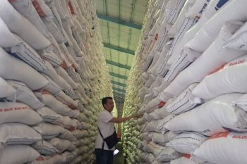 Bulog Lampung serap gabah sebanyak 27 ribu ton setara beras