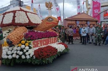 Sebanyak 230 ribu tangkai Krisan disiapkan untuk festival bunga internasional