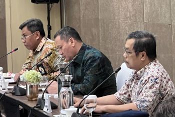 Pemerintah relaksasi syarat TKDN tarik pembiayaan proyek PLTS