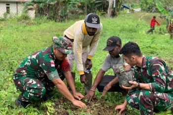 Yonif 122/TS tanam 150 bibit pohon kemiri di Keerom sambut HUT ke-79 RI