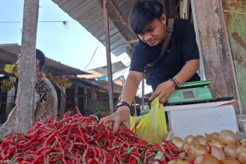 Gerakan tanam cabai serentak jadi solusi jaga harga