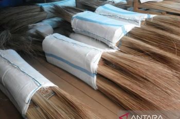 Produk lidi Indonesia menjadi sumber devisa manfaatkan limbah sawit