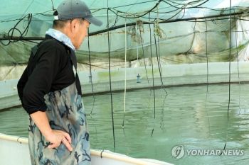 18 orang tewas akibat Panas ekstrem di Korsel