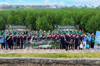 Suvarna Sutera kembali tanam 5.000 bibit mangrove di Mauk