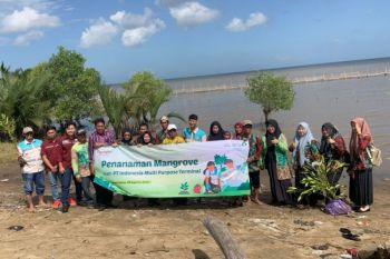 Adaro Logistic tanam ribuan pohon Bakau di kawasan mangrove Kurau