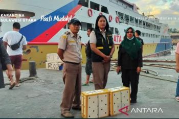 Balai Karantina tahan pengiriman unggas berisiko tularkan flu burung