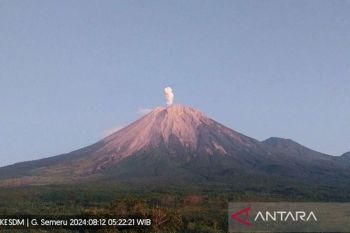 Gunung Semeru kembali erupsi lontarkan abu vulkanik setinggi 800 meter
