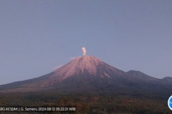 Gunung Semeru erupsi lontarkan abu vulkanik setinggi 800 meter