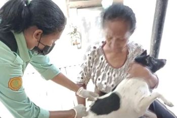 Pemkab Ende perkuat upaya vaksinasi pada wilayah positif rabies