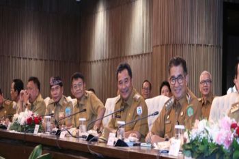 Pj Gubernur Sulbar sampaikan aspirasi masyarakat ke Presiden Joko Widodo