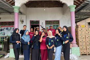 Mahasiswa UML bantu UMKM Pisang Mas untuk tingkatkan daya saing