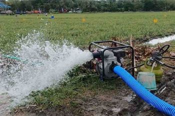 Kementan sebut 4.251 pompa air terpasang di Jateng