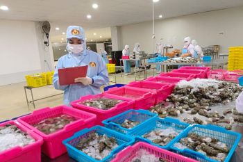 DKP Petakan Potensi Hilirasi Produk Perikanan