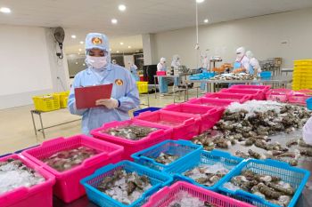 Pemprov Kaltara dorong  hilirisasi produk perikanan