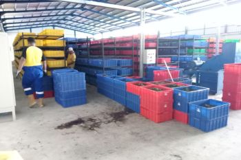 Uji coba limbah bekas pakan maggot jadi bahan bakar padat di Mataram