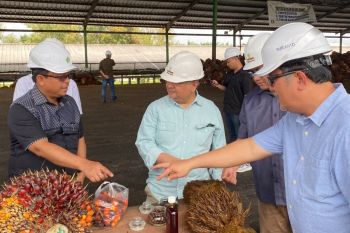 Kemenko perekonomian kagumi pendekatan sirkular ekonomi PTPN IV Regional III