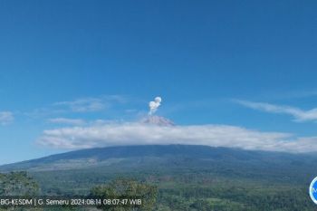 Gunung Semeru mengalami erupsi beberapa kali dengan tinggi letusan hingga 800 meter