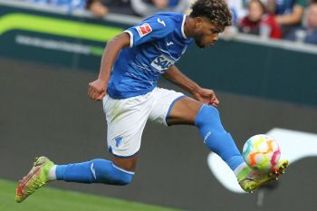 Hoffenheim pecat pelatih Pellegrino Matarazzo