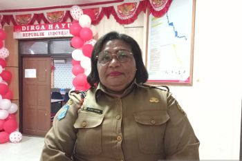 Distanbun Mimika budi dayakan kelapa sawit 7.000 ha Kampung Kiyura