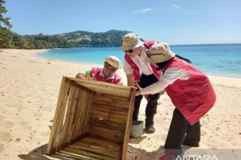 Relawan Bakti BUMN Batch VI Likupang buat tempat sampah di pantai