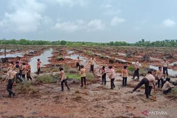 Pelajar pramuka tanam 1.000 mangrove di pesisir Aceh Tamiang