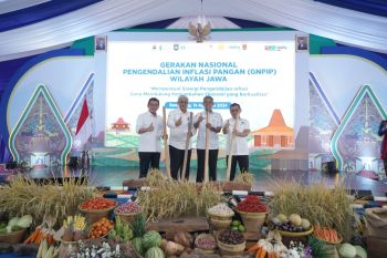 Fokus digitalisasi, BI kendalikan inflasi lewat Senopati dan Semar