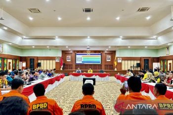BPBD Kalsel dirikan tujuh posko siaga hadapi karhutla