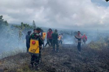 TNGR nyatakan kebakaran kawasan hutan di Rinjani dipastikan telah padam