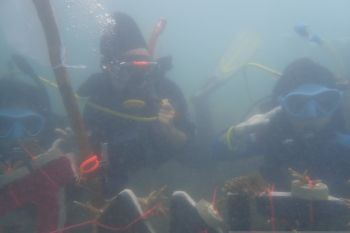 ANTARA Babel sukses kibarkan bendera di perairan Pulau Putri