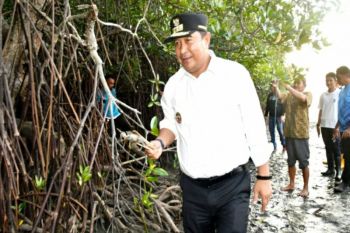 Penjabat Gubernur bertekad menjadikan Sulbar sentra penghasil kepiting