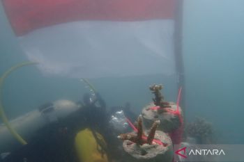 ANTARA-UBB kibarkan bendera merah putih di dasar laut Pulau Putri