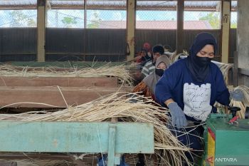 Kemen Investasi catat terbitkan 10 juta izin usaha lewat OSS