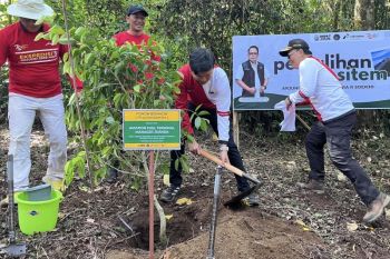 Peringati HUT ke-79 RI, Pertamina Patra Niaga hijaukan Gunung Arjuno