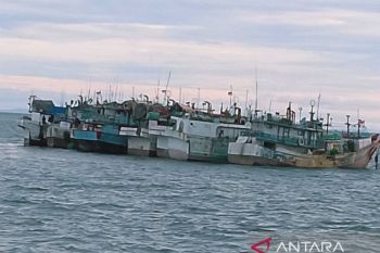 Perairan Biak potensi dijadikan tempat penggemukan ikan tuna