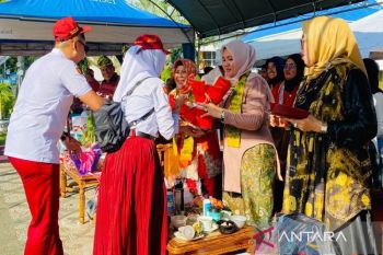 Pemkab Kotabaru gelar karnaval peringati Kemedekaan RI