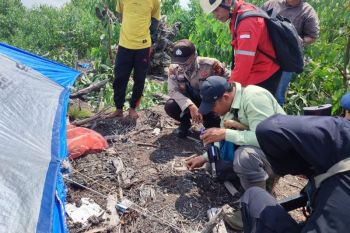 Pekerja bibit akasia di Pelalawan diduga dicakar harimau Sumatera
