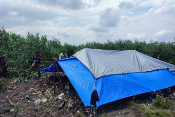 BBKSDA Riau kosongkan lokasi harimau Sumatera menyerang manusia