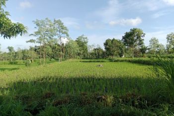 BPN mulai bagikan sertifikat tanah Program PTSL di Lombok Tengah