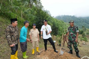 Pemprov Sulbar mengalokasikan anggaran pengadaan sejuta bibit durian