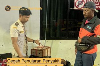 Balai Karantina Sulut gagalkan pengiriman unggas cegah ancaman penyakit