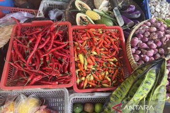 Harga pangan hari ini, cabai rawit merah turun