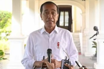 Presiden Joowi menghormati putusan MK dan DPR soal syarat calon kepala daerah