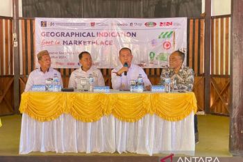 DJKI Kemenkumham tingkatkan peran pemilik indikasi geografis